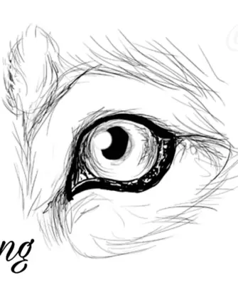Глаза волка карандашом