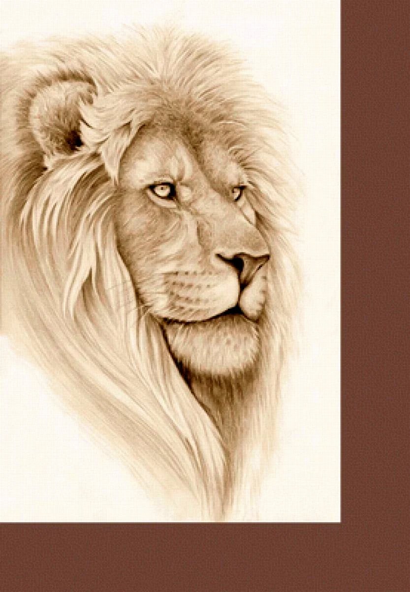 Голова Льва карандашом