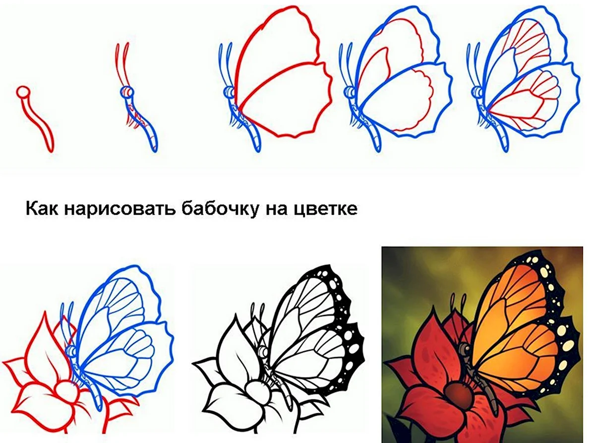 Рисунки карандашом для детей бабочки (36 фото) 🔥 Прикольные картинки и юмор