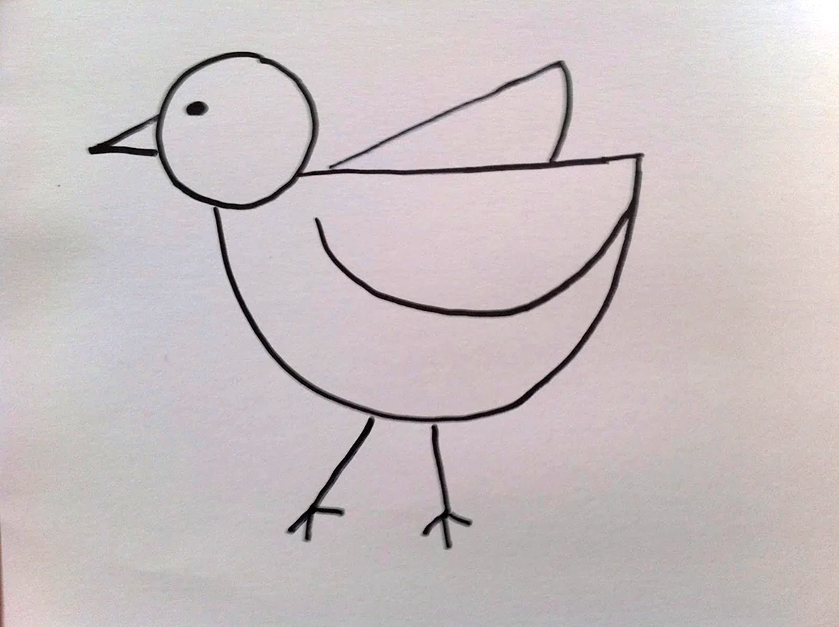 Как нарисовать птичку карандашом