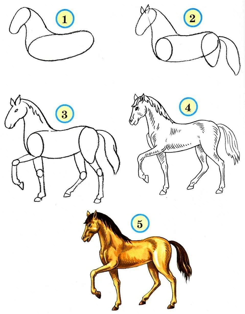 Как рисовать лошадь поэтапно карандашом