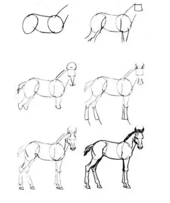 Как рисовать лошадь поэтапно карандашом