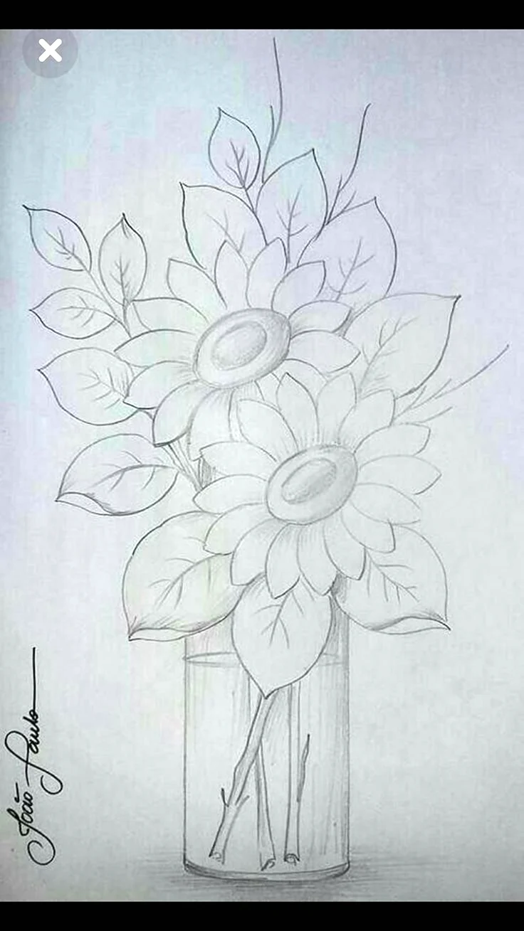 Легкий рисунок цветов в вазе. Цветы простым карандашом. Композиция цветов карандашом. Цветы карандашом для срисовки. Цветочная композиция карандашом.