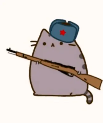 Кот Пушин военный