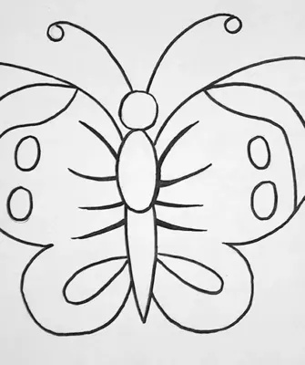 Красивые бабочки для срисовки