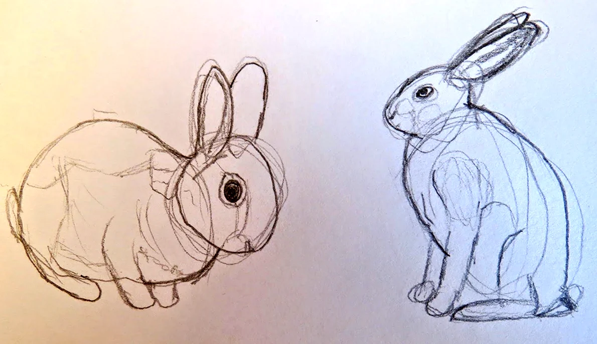 Нарисовать кролика карандашом. Кролик карандашом. Кролик рисунок карандашом. Кролик рисунок поэтапно. Рисование карандашом кролик.