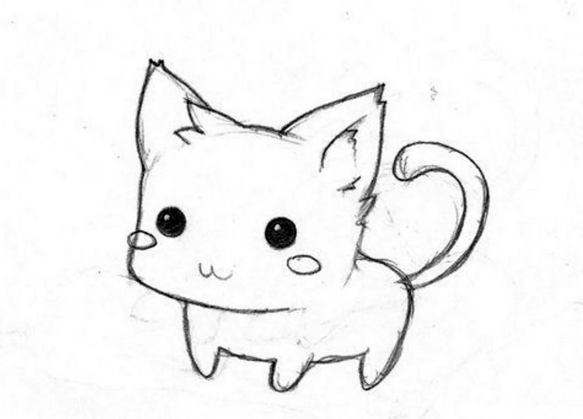 Красивые котики для срисовки легкие милые. Котик рисунок. Рисунки для срисовки котики. Рисунки котиков для срисовки. Картинки для срисовки котики.