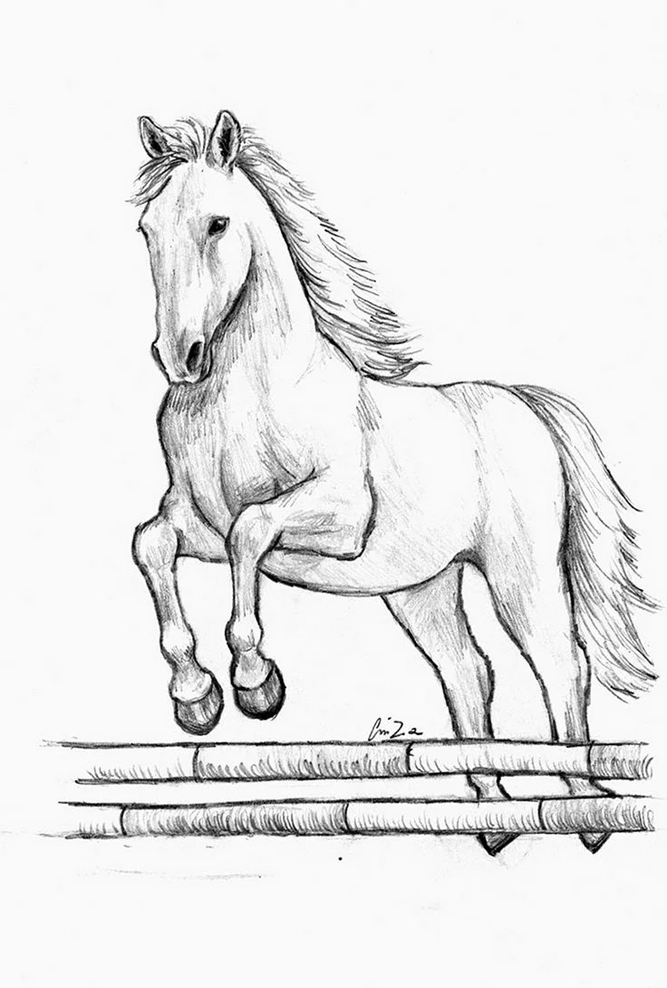 Лошадь рисунок эскиз