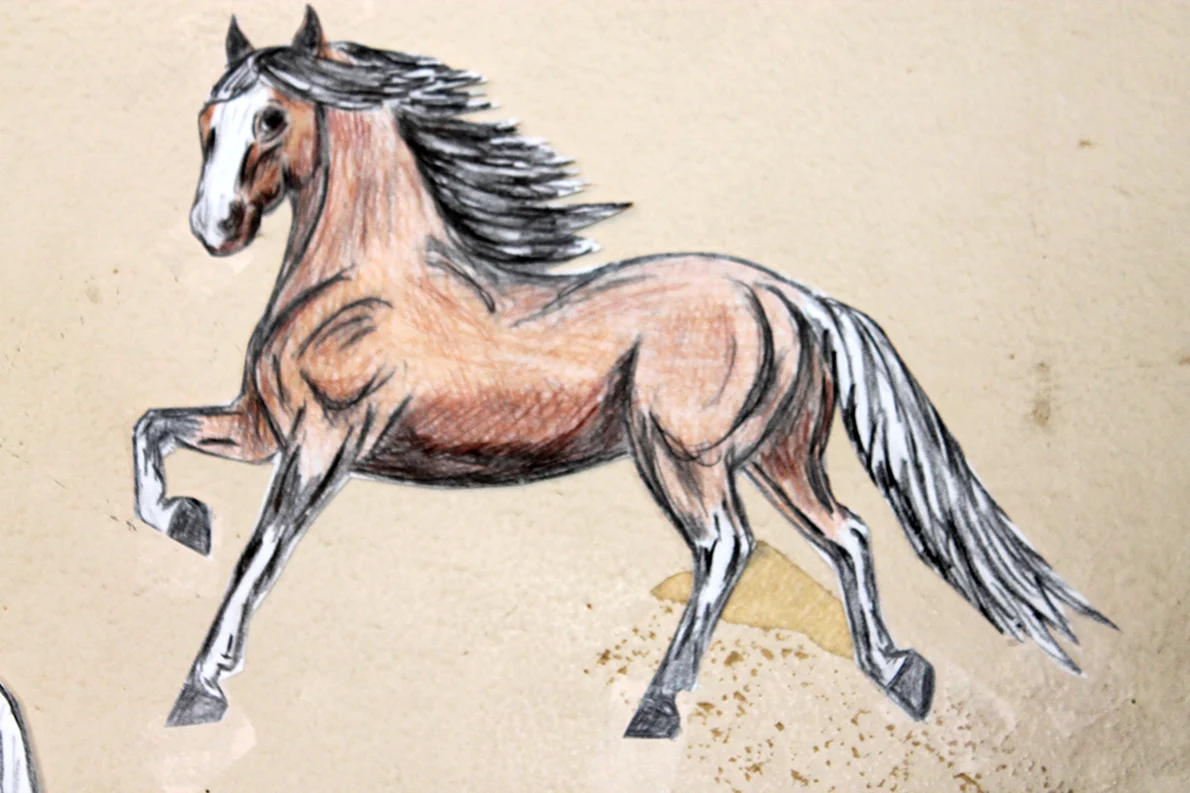Лошадь цветными карандашами