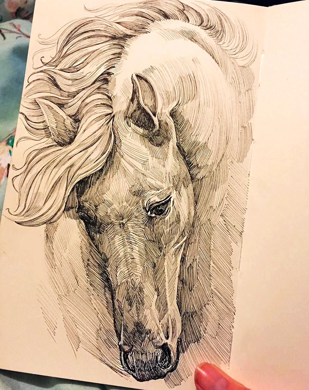 Лошадь в скетчбуке