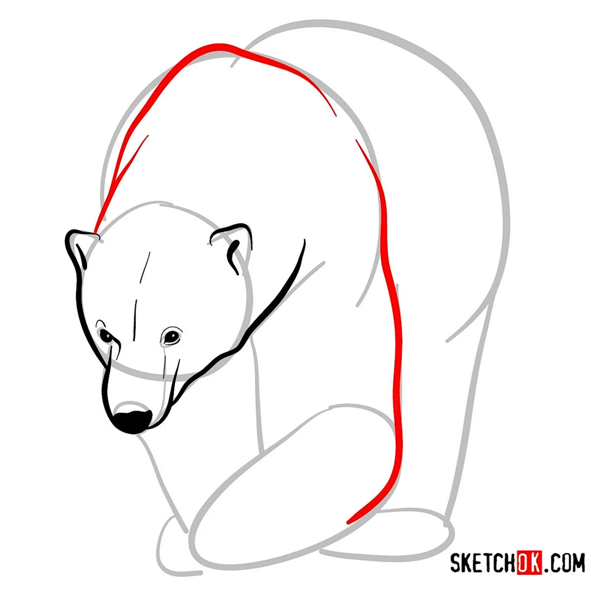 Медведь для срисовки
