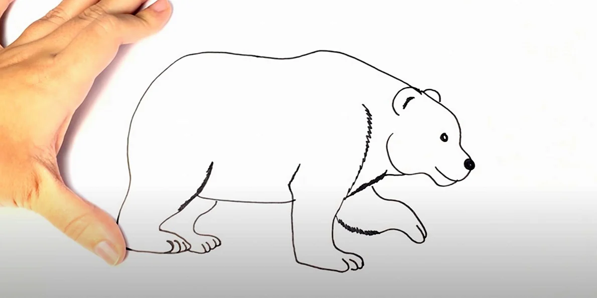 Медведь рисование веревочкой