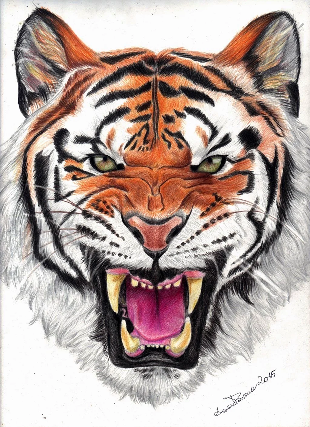 Морда тигра арт