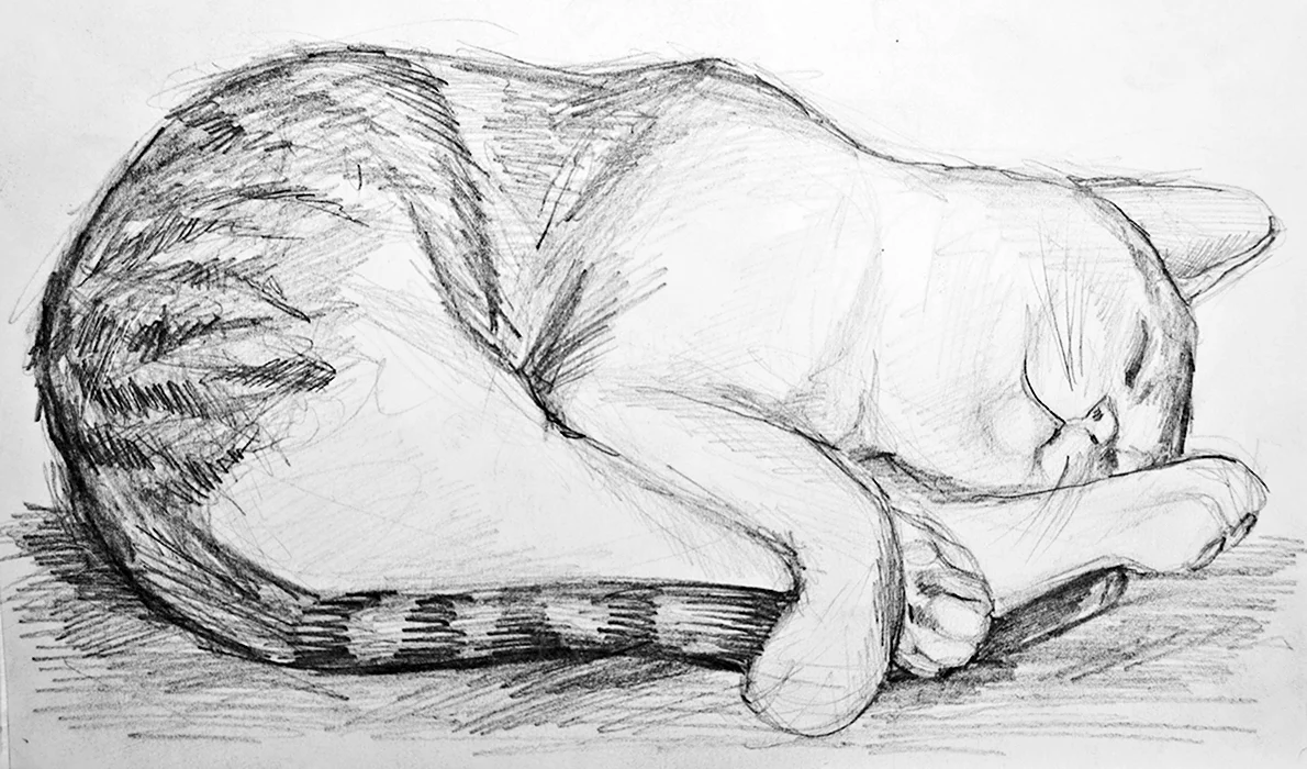 Рисунок кота карандашом лежа (35 шт)