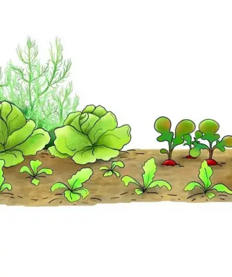 Огород иллюстрация