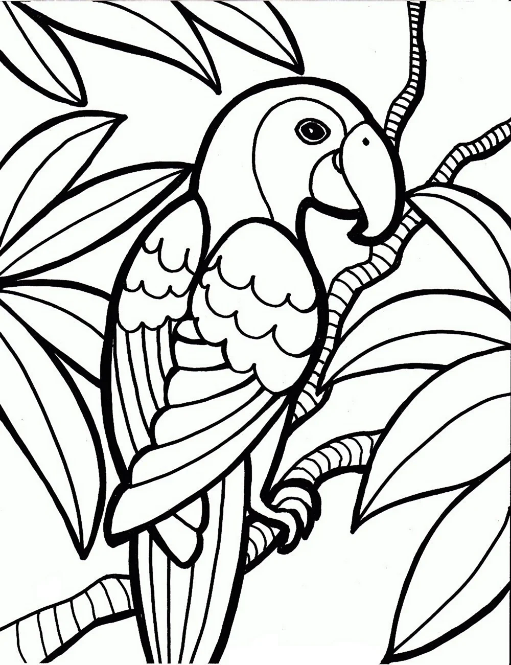 Красивый рисунок на а4. Раскраска попугай. Рисунки для разукрашивания. Попугай раскраска для детей. Рисунки для расскрашива.