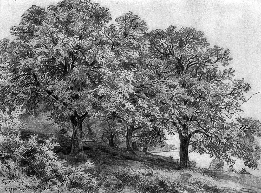 Пейзаж сангиной 19 век Шишкин