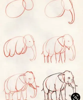 Поэтапное рисование слона