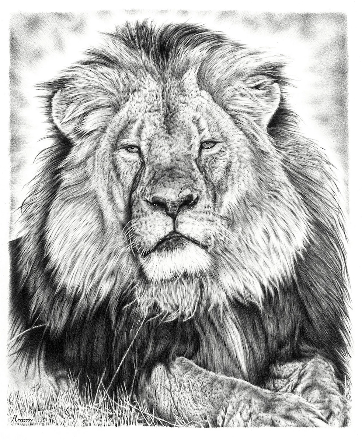 Портрет Льва карандашом