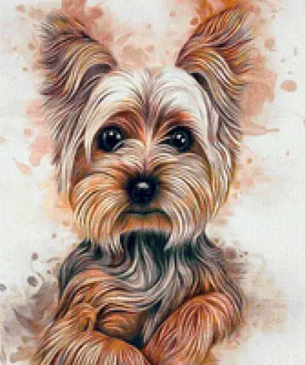 Портрет собаки Йоркширский терьер