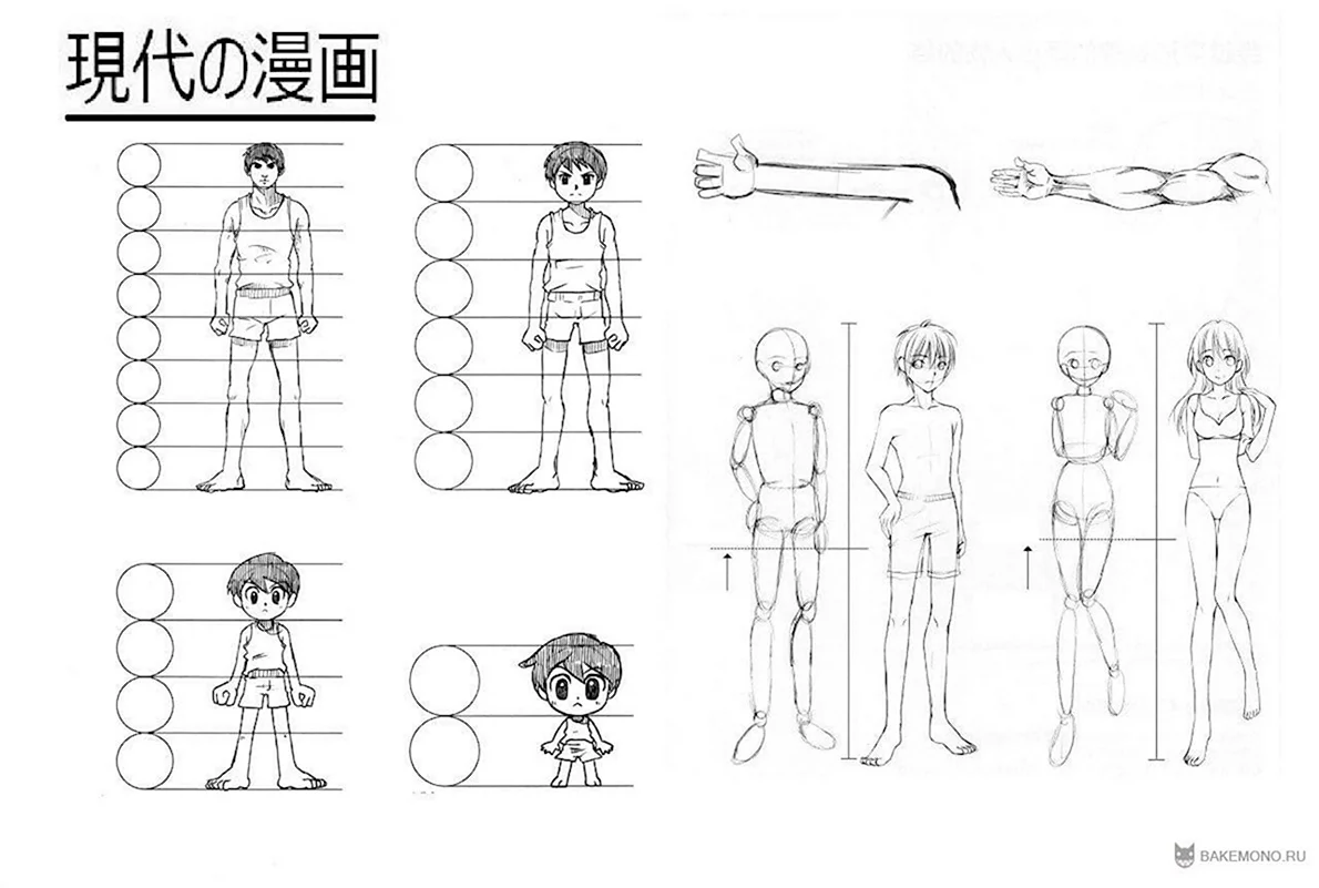 Пропорции тела человека для рисования аниме