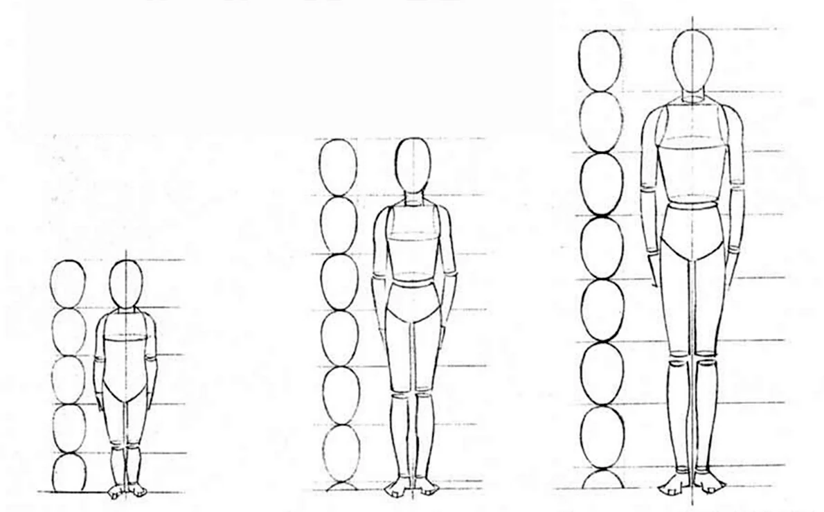 Пропорции тела человека рисунок