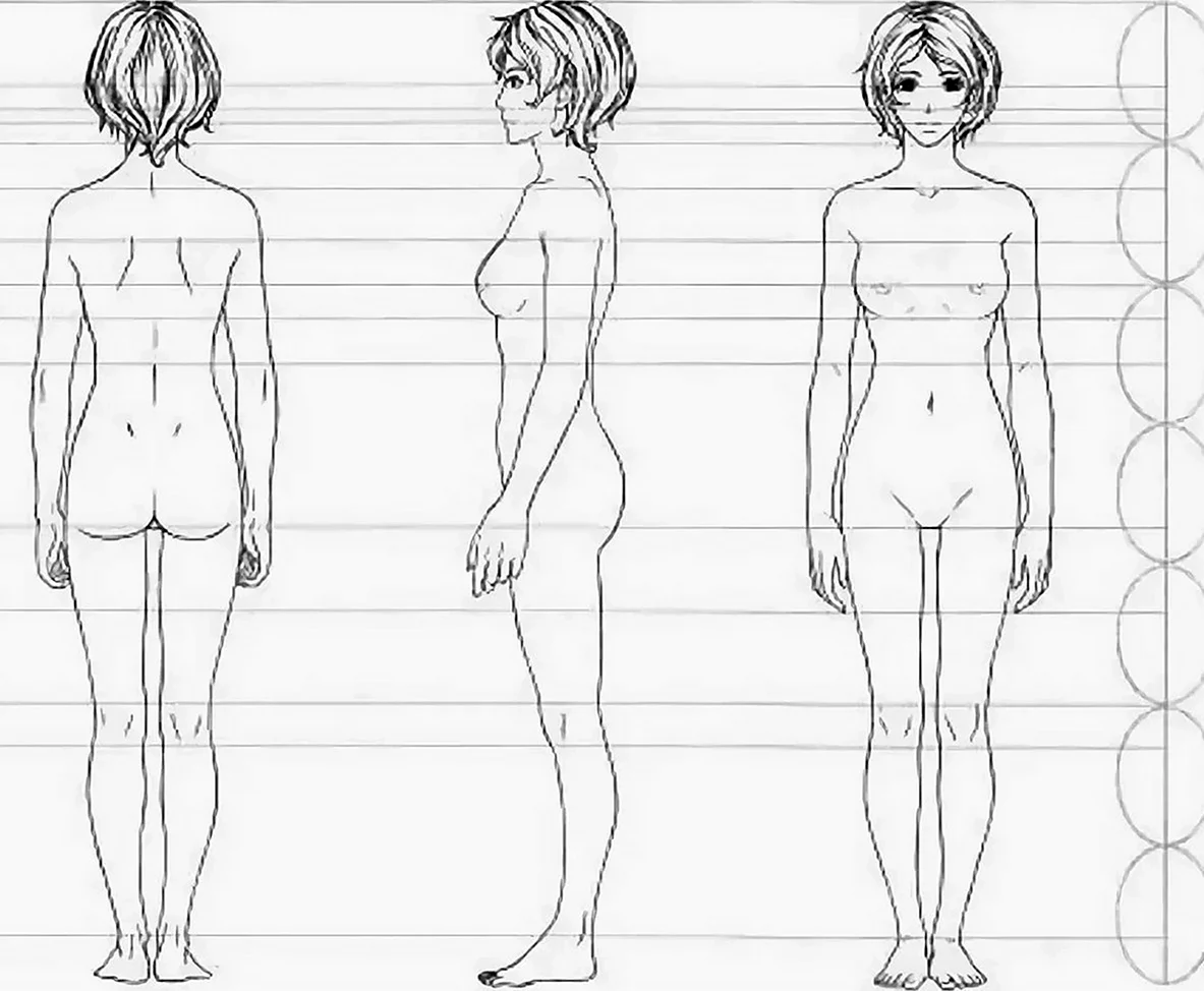 Пропорции тела девушки для рисования