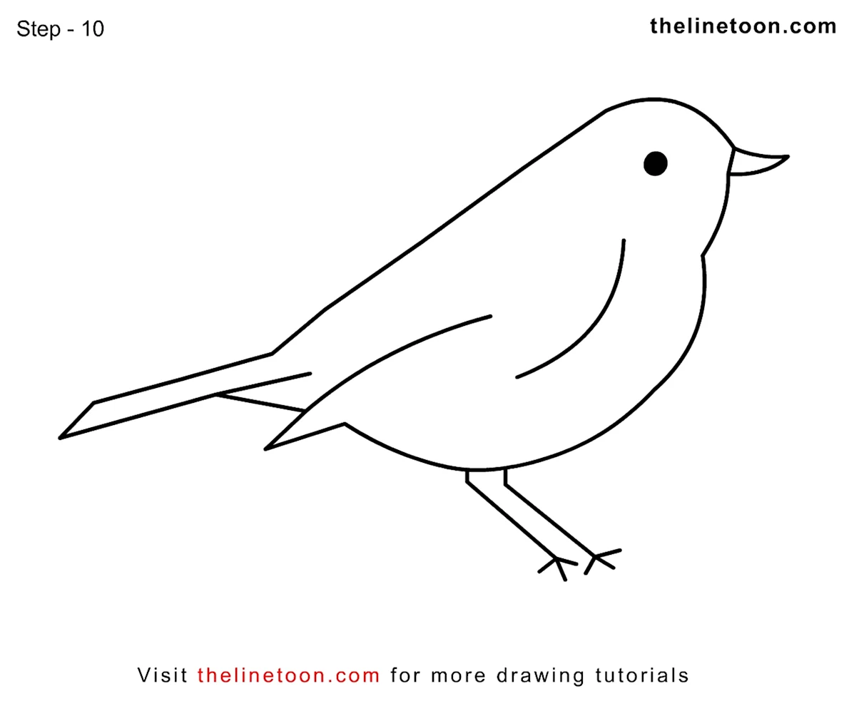 Птичка рисунок простой