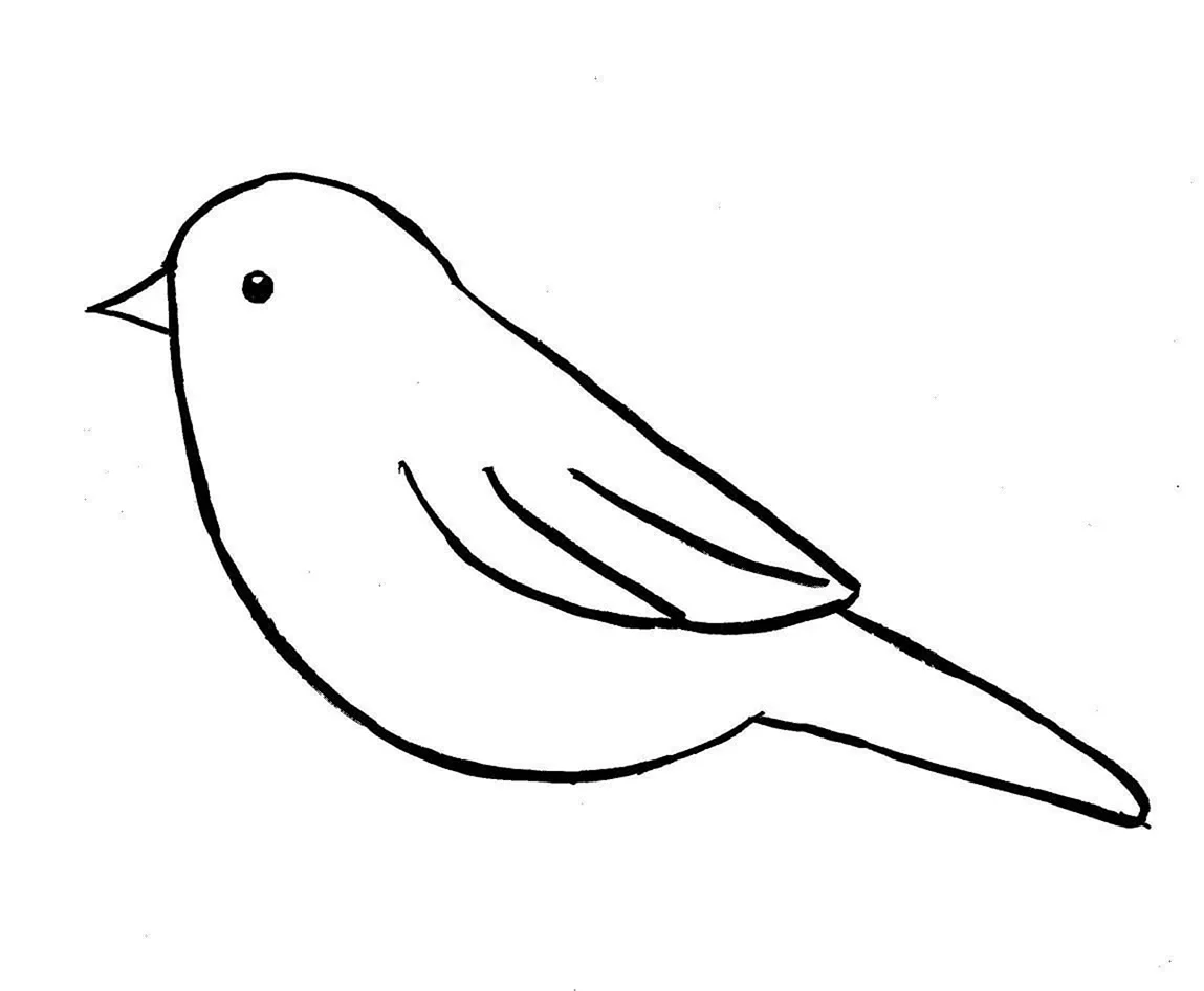 Птички для рисования