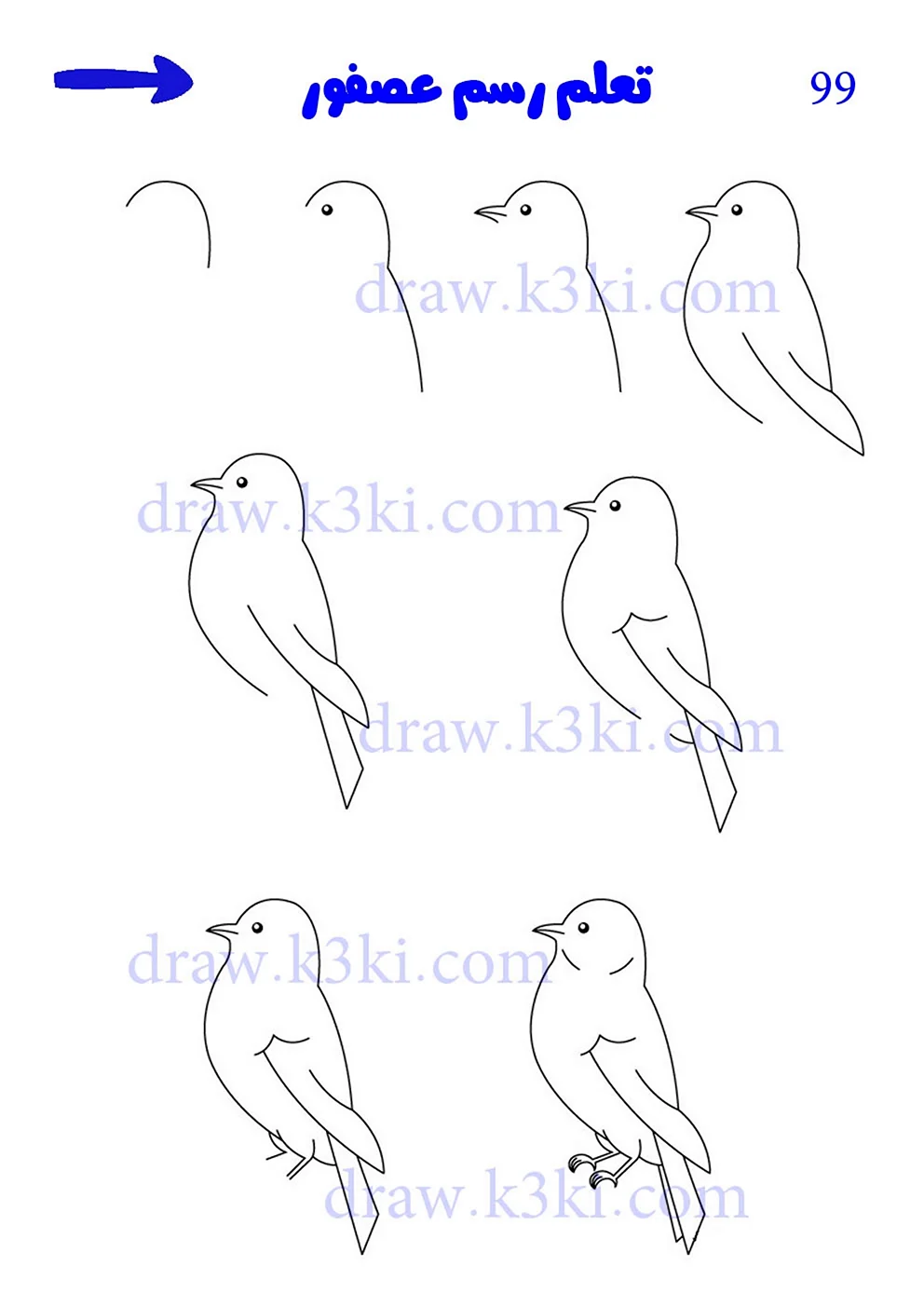 Птички карандашом для срисовки