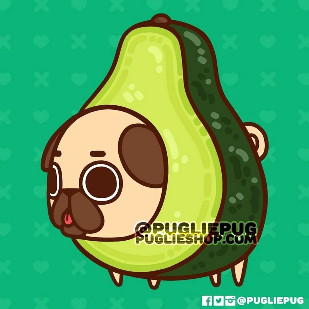 Puglie Мопс авокадо