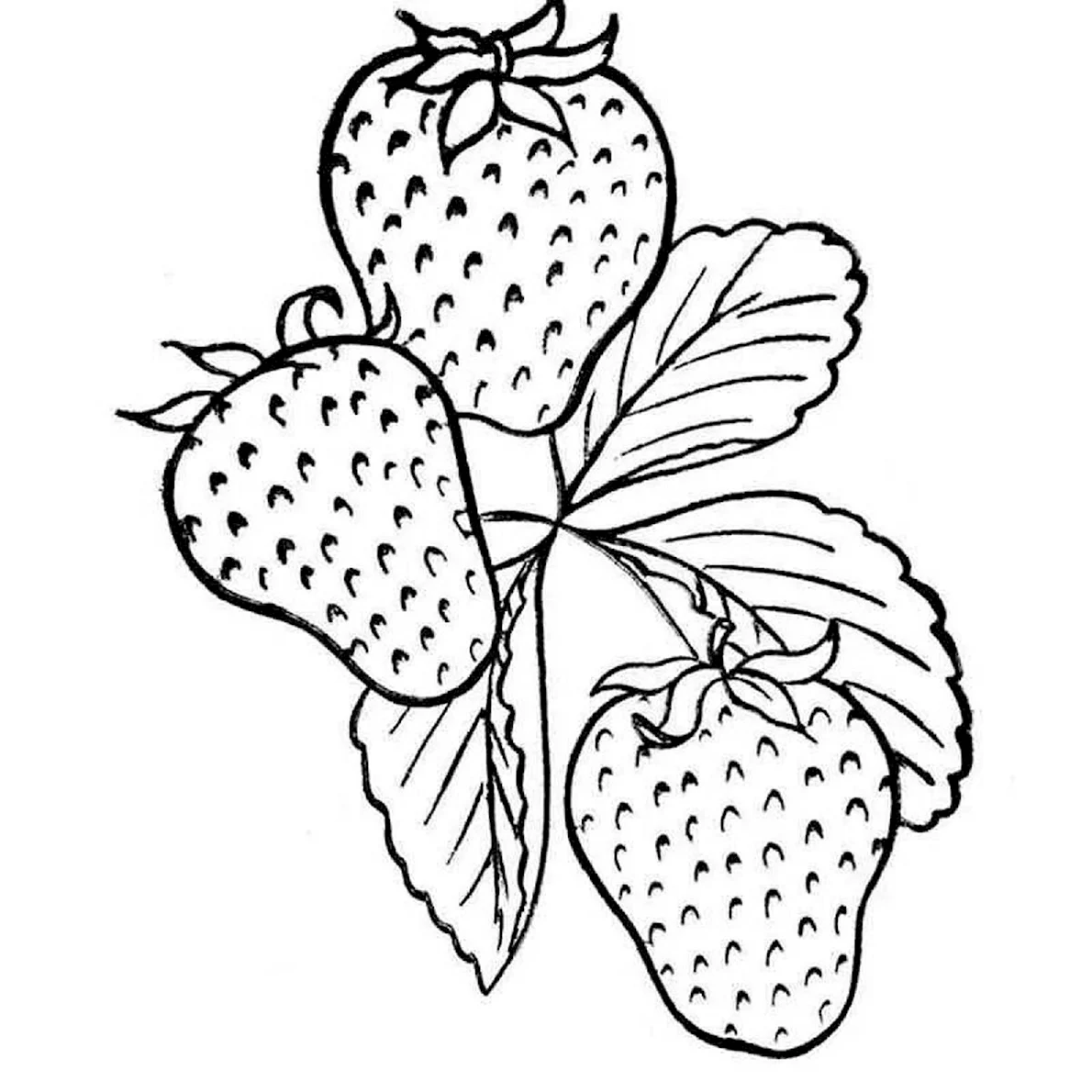 Изображения по запросу Раскраска ягоды