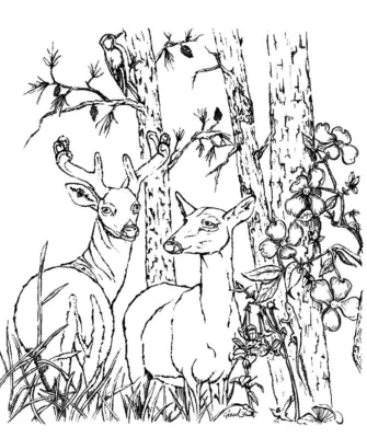 Раскраска олень в лесу