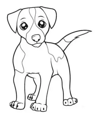 Раскраска щенок Джек Рассел