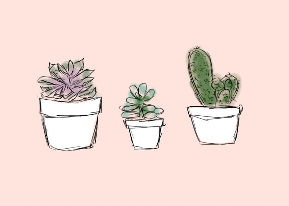 Растения для срисовки