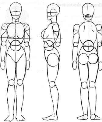 Референс анатомия пропорции