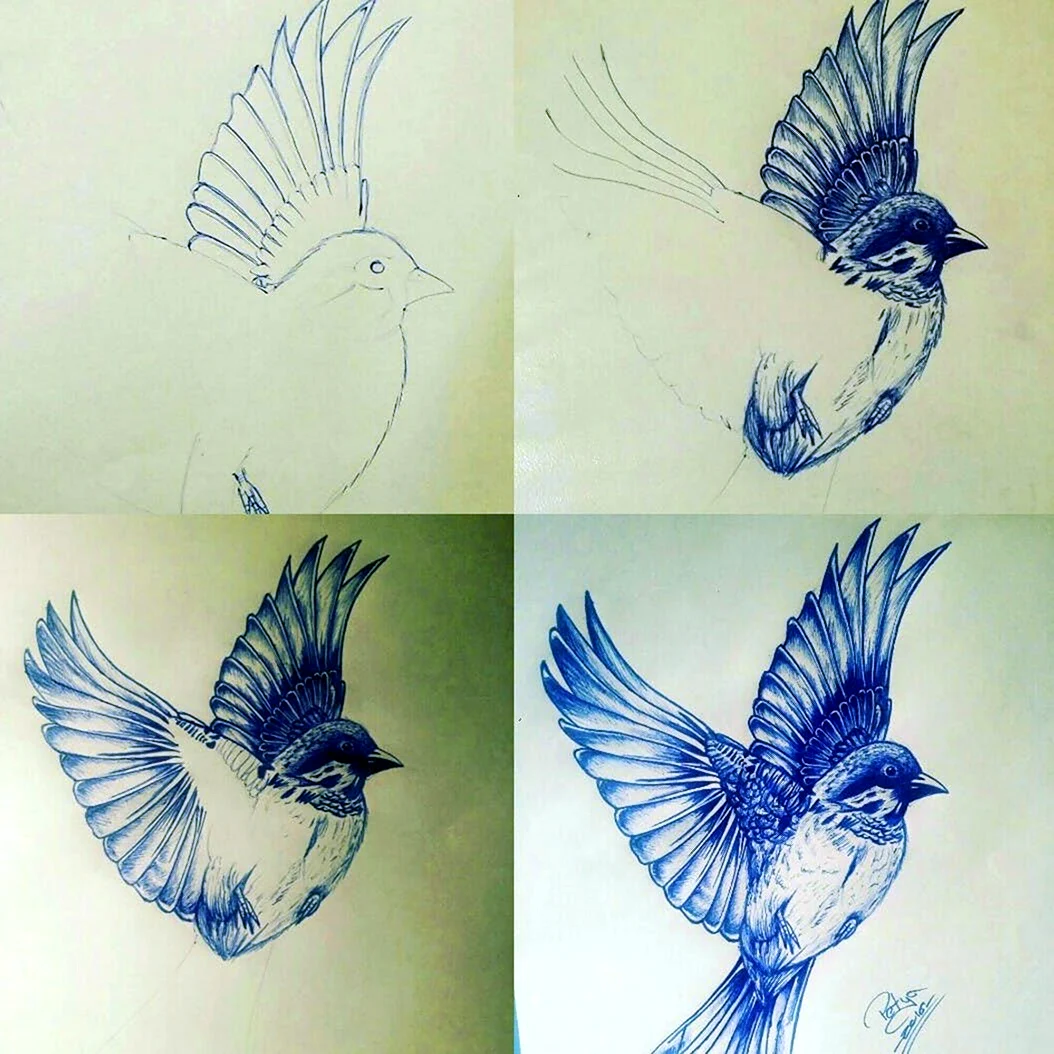 Рисование птицы пятном