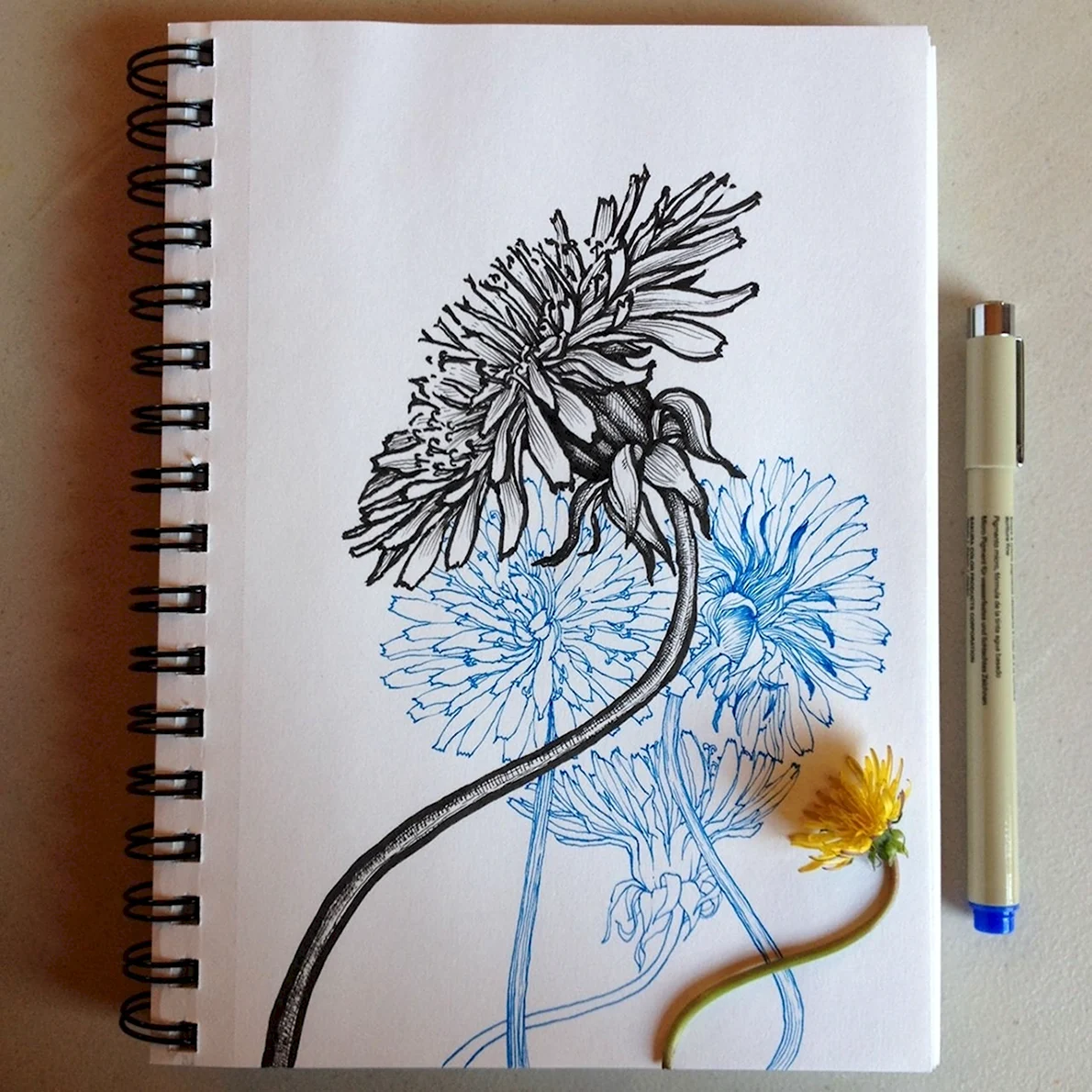 Рисунки для артбука цветы