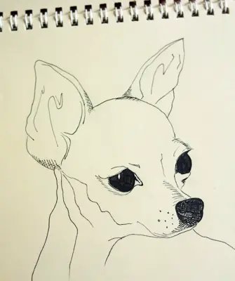 Рисунки для скетчбука для срисовки животные