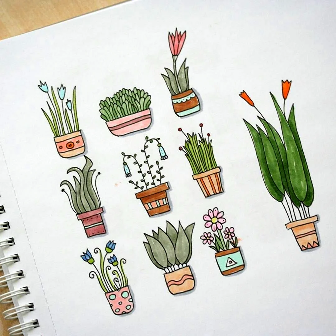 Рисунки для срисовки лёгкие растения
