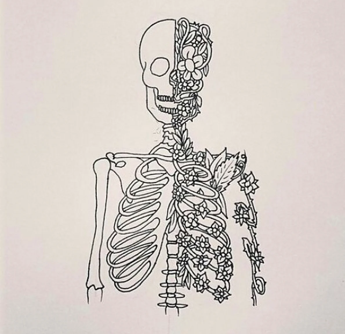 Рисунки для срисовки лёгкие скелет