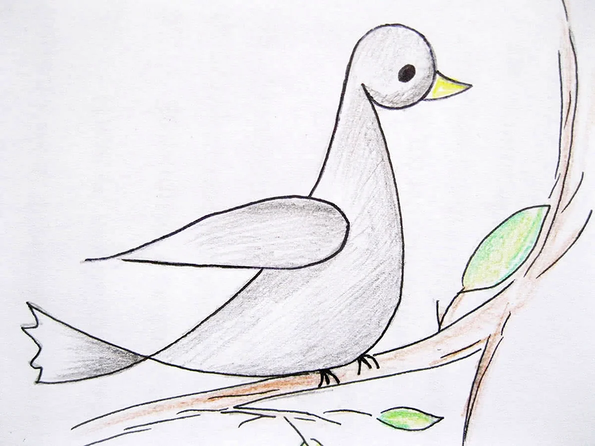 Рисунки для срисовки птицы легкие