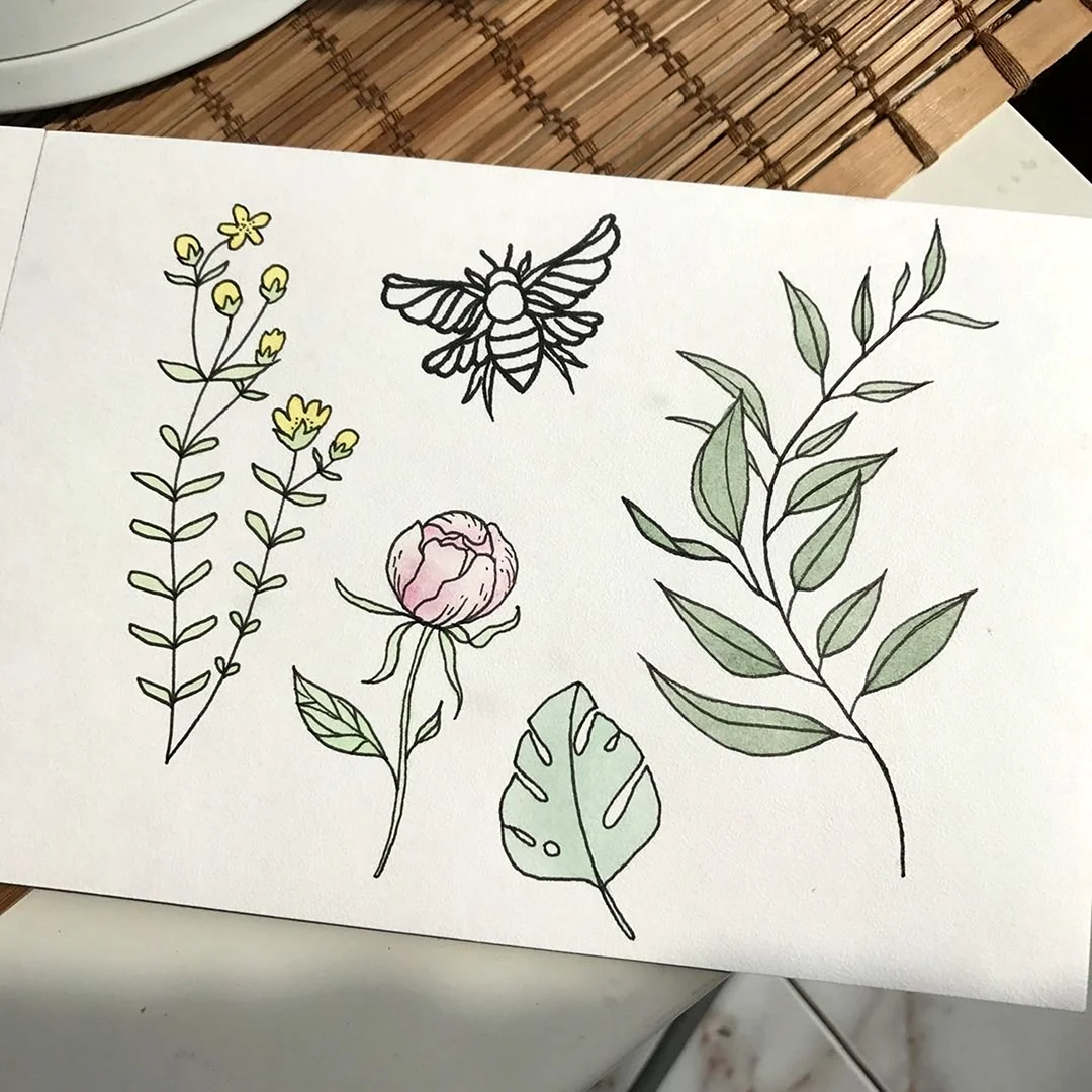 Рисунки для срисовки растения