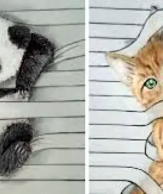 Рисунки для срисовки животные