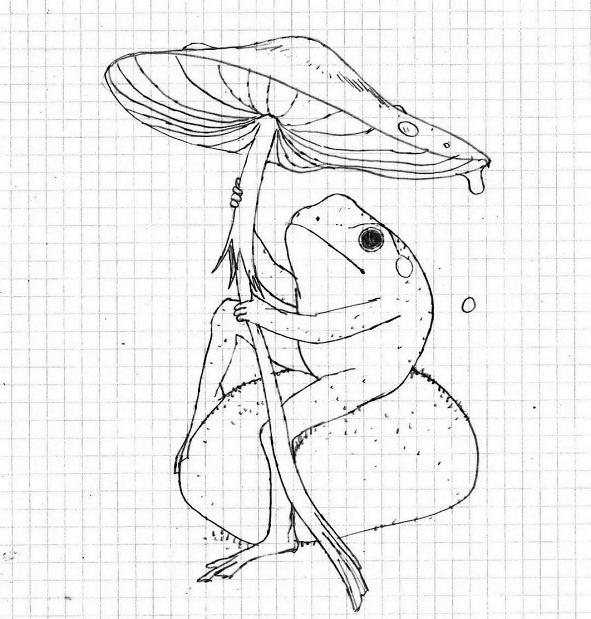 Рисунки лягушек в скетчбуке