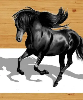 Рисунки про лошадей 3д карандашом