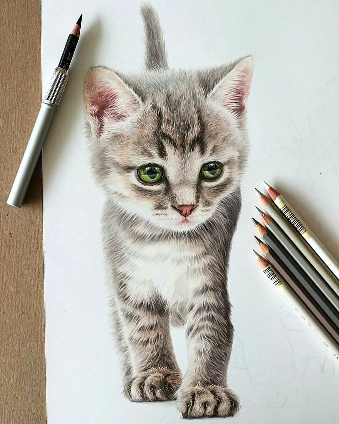 Pencil cats. Рисование карандашом. Водные рисунки карандашом. Рисование цветными карандашами. Кошка цветными карандашами.