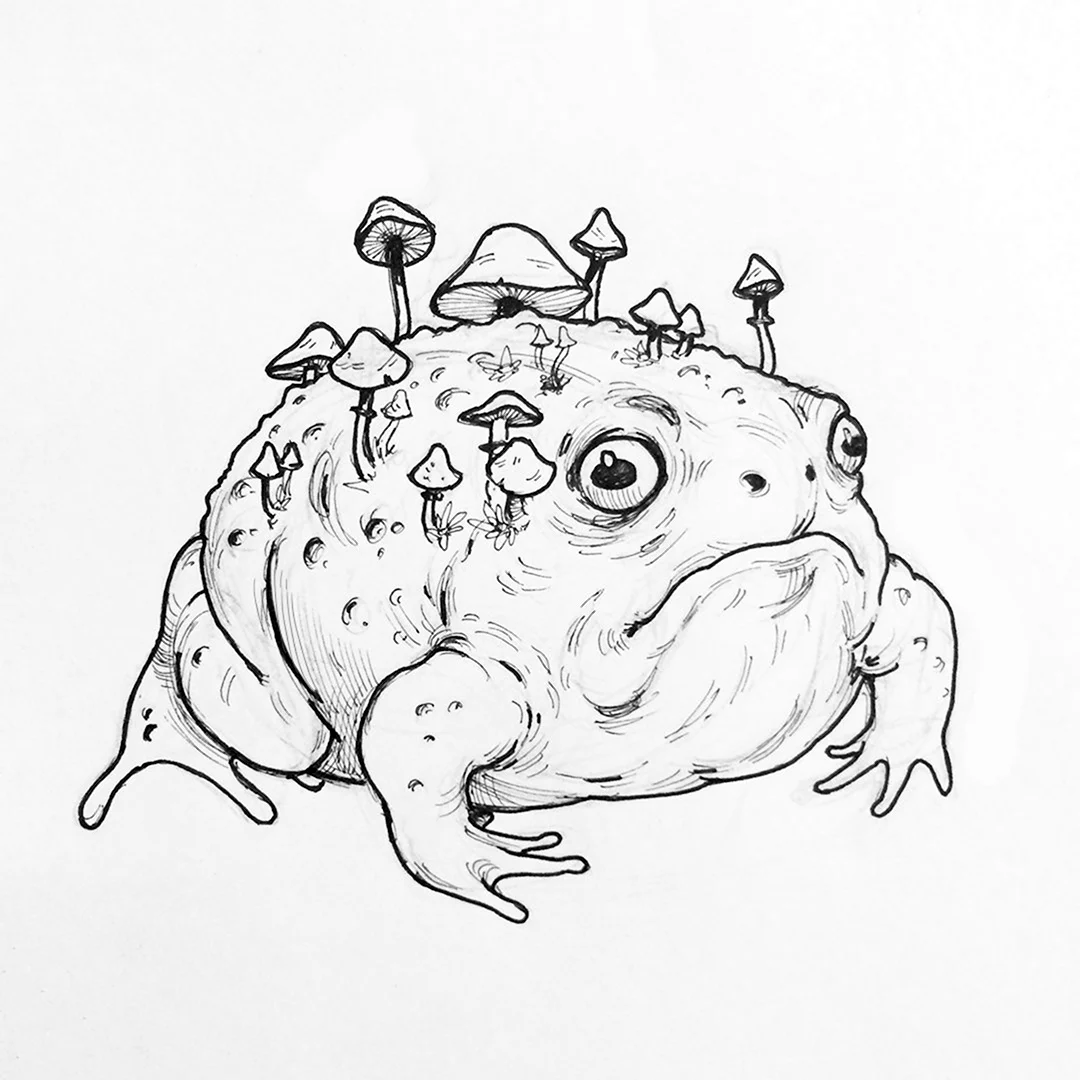 Рисунки жабок для скетчбука