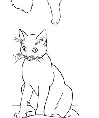 Рисунок кошки для срисовки легкие