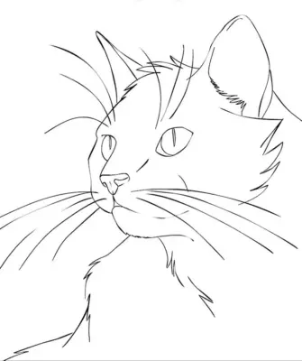 Рисунок кошки карандашом для срисовки